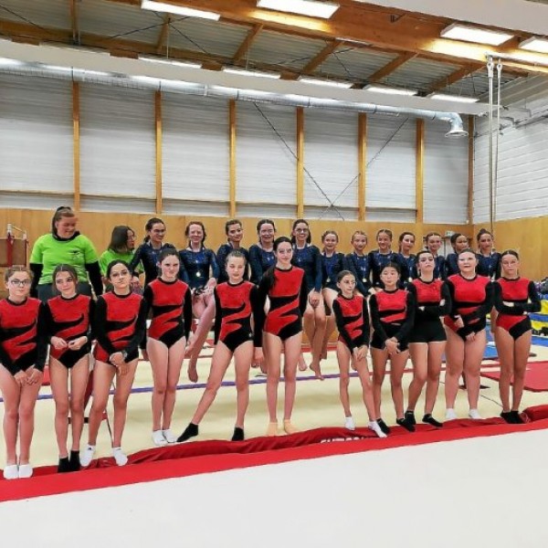 Association sportive gym du collège Jean-Rostand